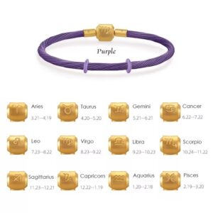 Zodiac Birth-Star 316L Stainless Steel Bracelet Purple